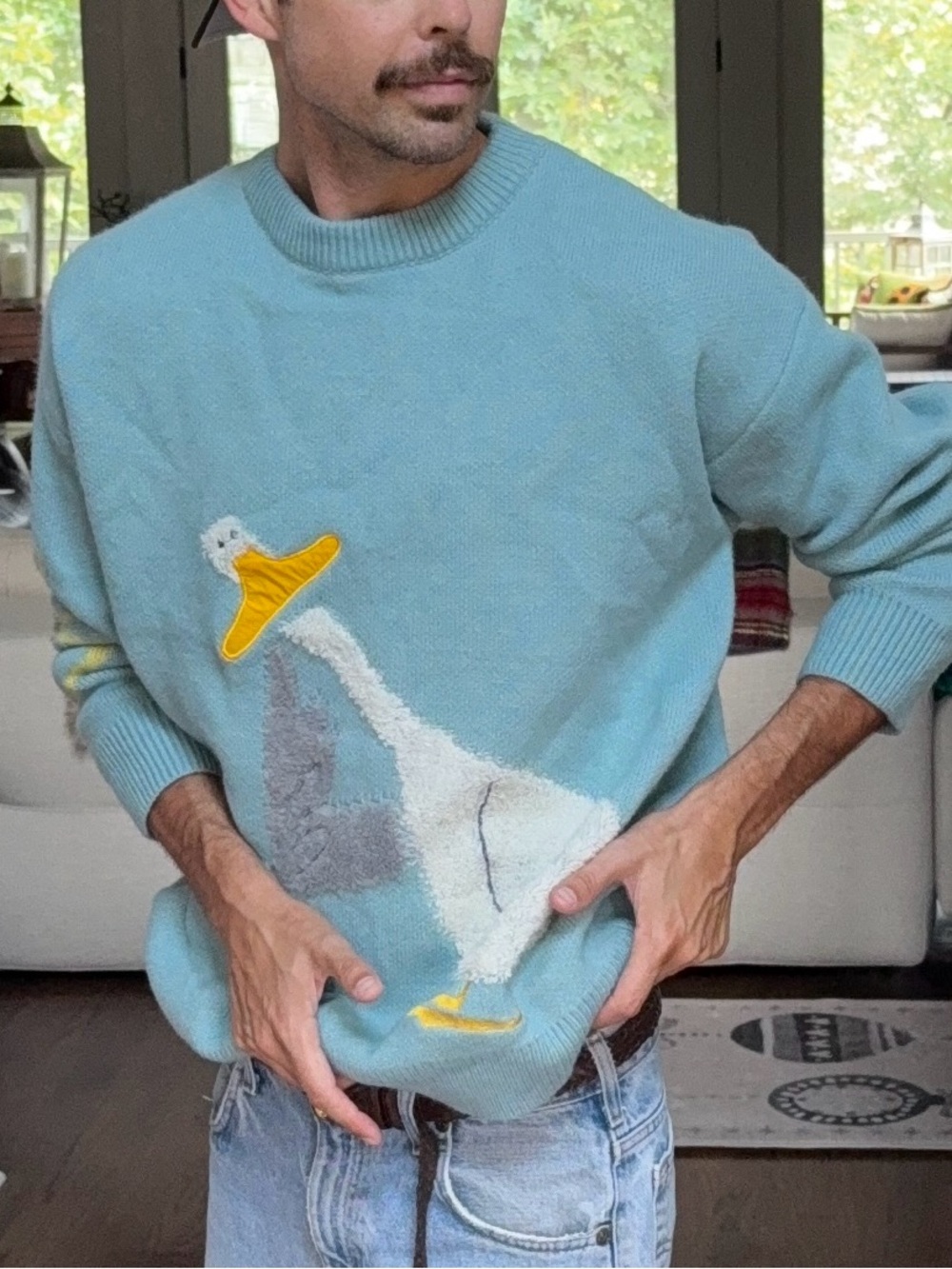 🦢 Aelfric Eden Oversized Pelican Graphic Sweater